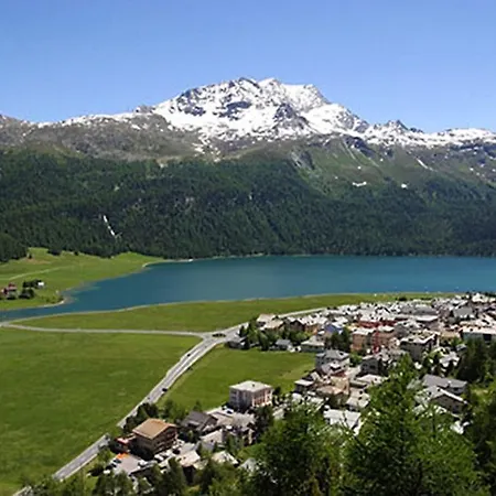 Paluedetta 8 Daire