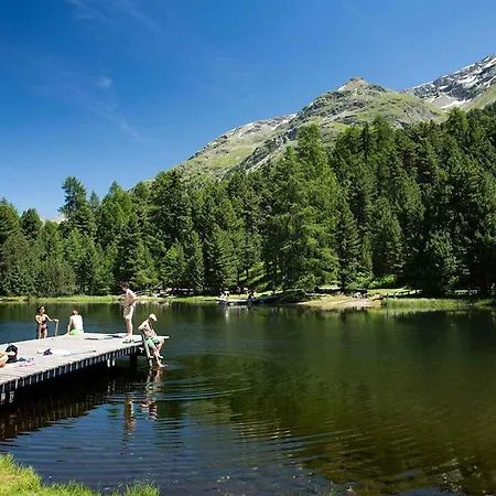 Paluedetta 8 *