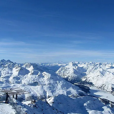 Paluedetta 8 *