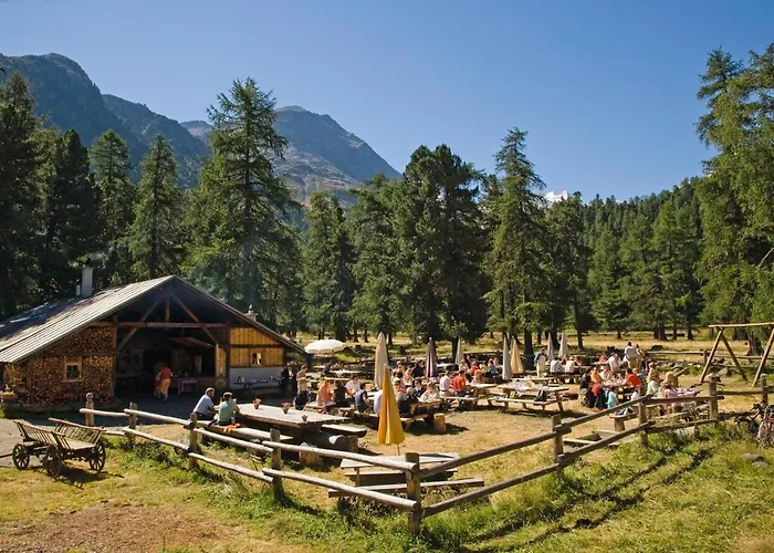 Daire Paluedetta 8 *