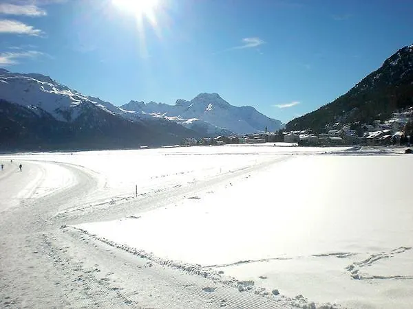 Paluedetta 8 Daire *