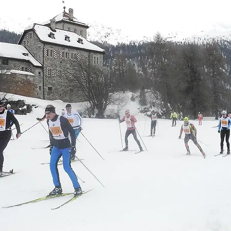 Paluedetta 8 席尔瓦普拉纳