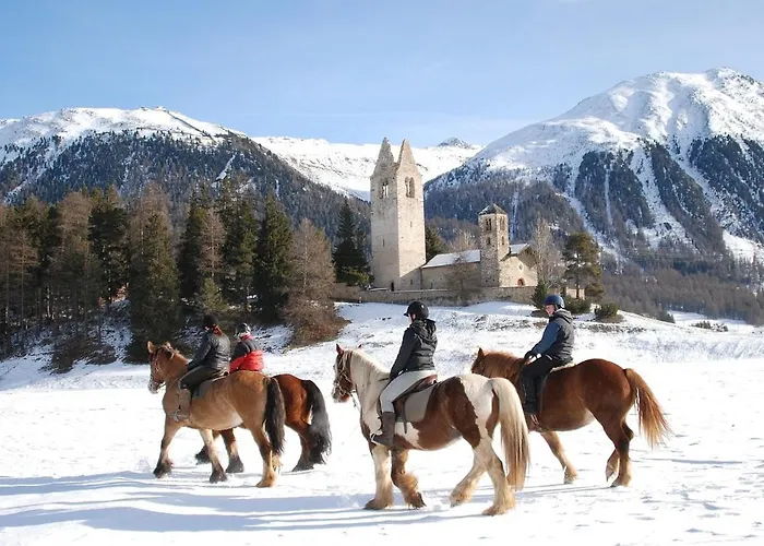 Apartman Palüdetta 8 *