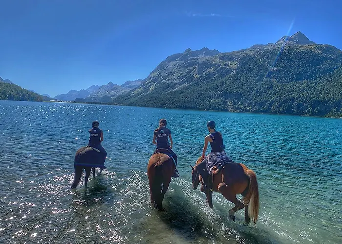 Palüdetta 8 Apartman *