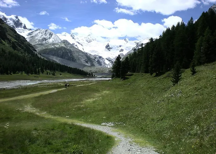 Apartman Palüdetta 8