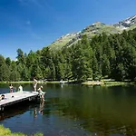 Paluedetta 8 *