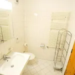 Paluedetta 8 *