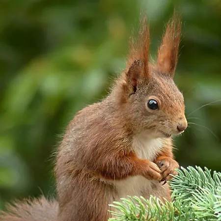 Paluedetta 8 Appartement *