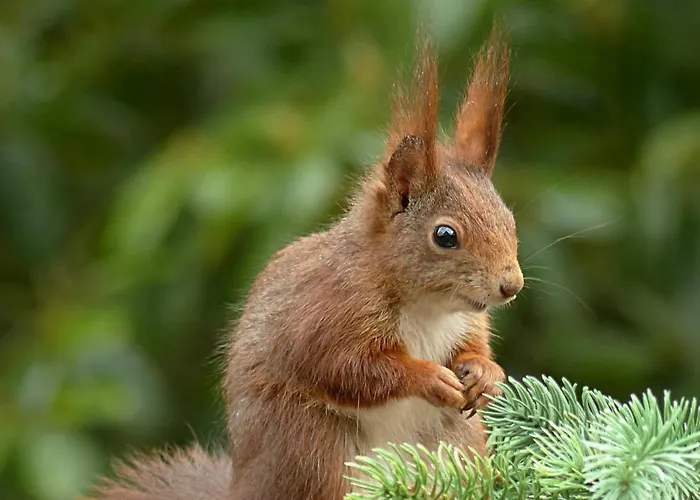 Paluedetta 8 Appartement *