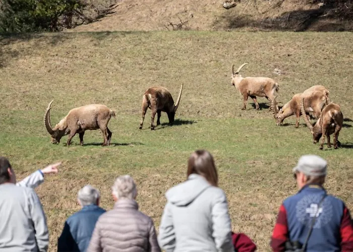 Paluedetta 8 Appartement *